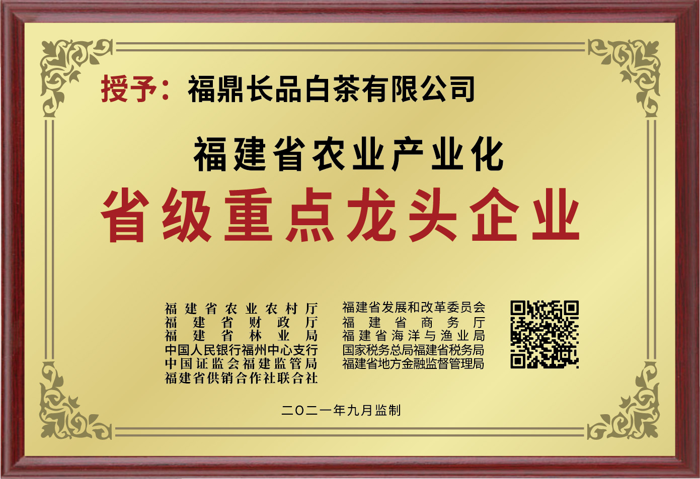 公司荣誉奖牌（转曲）-11.jpg